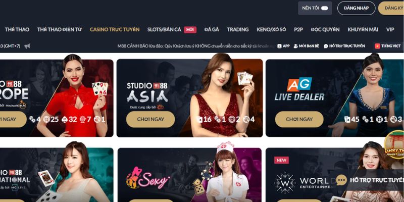 Hệ thống sảnh casino trực tuyến chất lượng